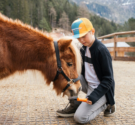 Junge füttert Pferd mit Karotte vor schneebedecktem Berg und Wald Ein Junge füttert ein Pferd mit einer Karotte, vor schneebedecktem Berg und Wald.